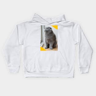 The biue cute cats Kids Hoodie